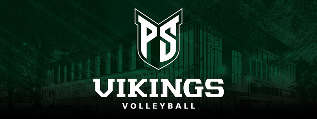 Viking Volleyball Slide 1